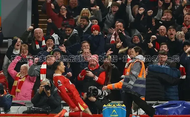 球速体育app下载爱慕股份石家庄功夫足球俱乐部阵容大揭秘 - 最新球员名单一览