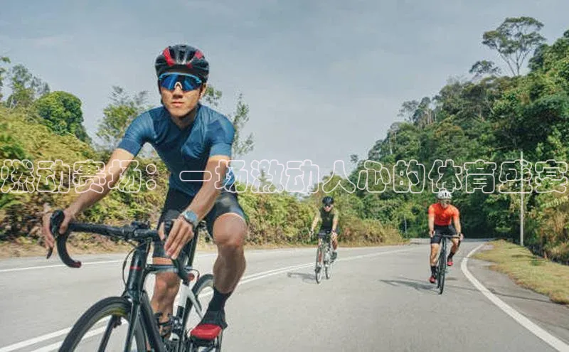 球速体育下载京东燃动赛场：一场激动人心的体育盛宴