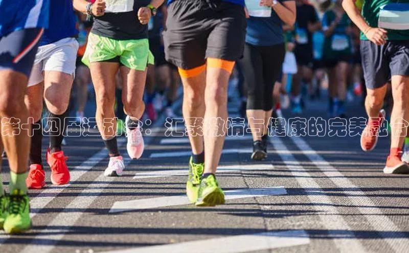 球速体育官网福石控股第十四届运动会：汇聚激情与健康的完美融合