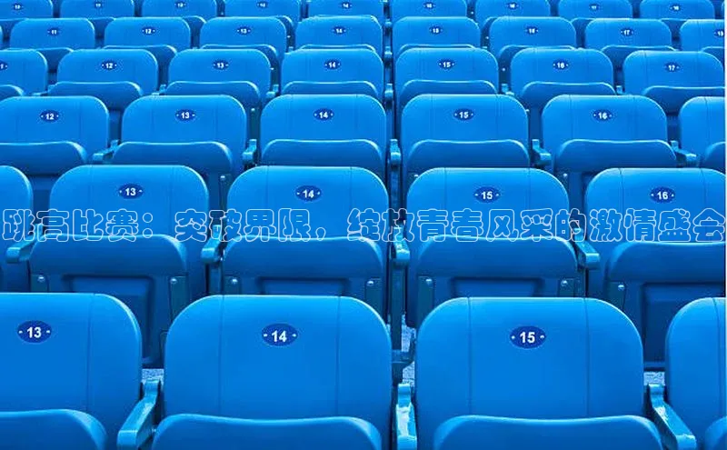 球速体育下载百度安全社区跳高比赛：突破界限，绽放青春风采的激情盛会