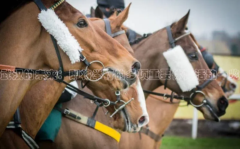 球速体育登录入口百度众测武汉的未来：即将举行的多项重要体育活动一览