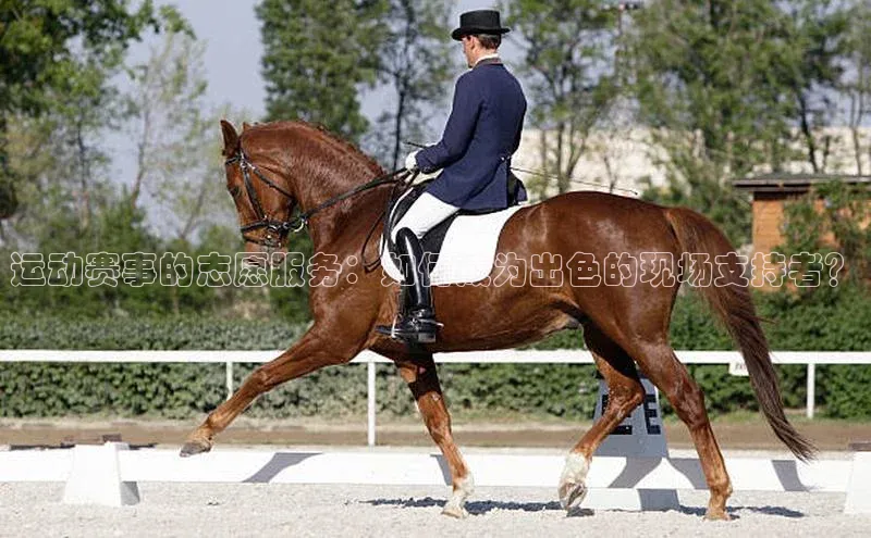 运动赛事的志愿服务：如何成为出色的现场支持者？