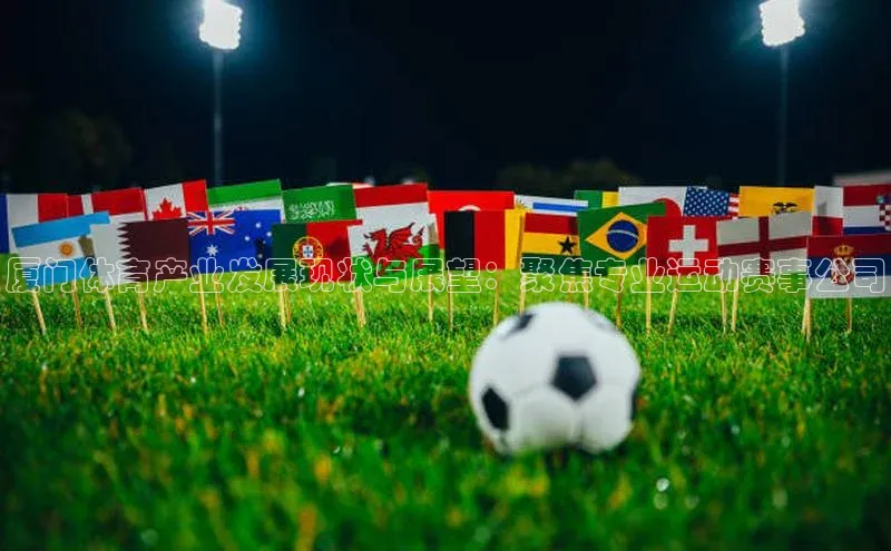 厦门体育产业发展现状与展望：聚焦专业运动赛事公司