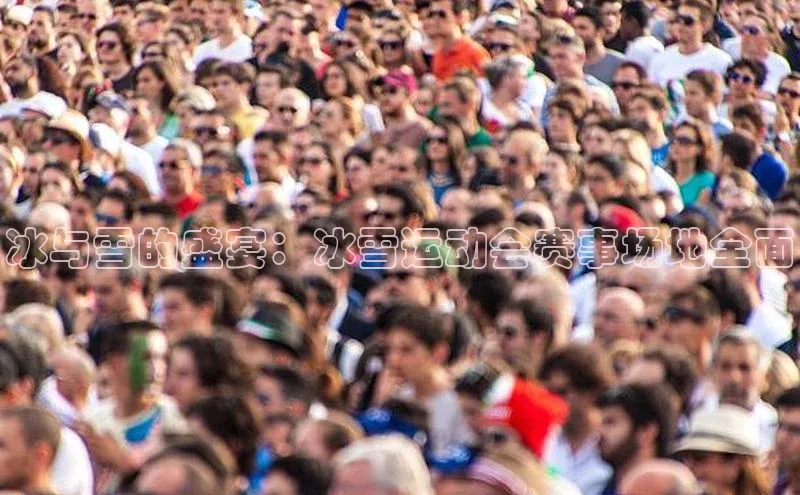 冰与雪的盛宴：冰雪运动会赛事场地全面