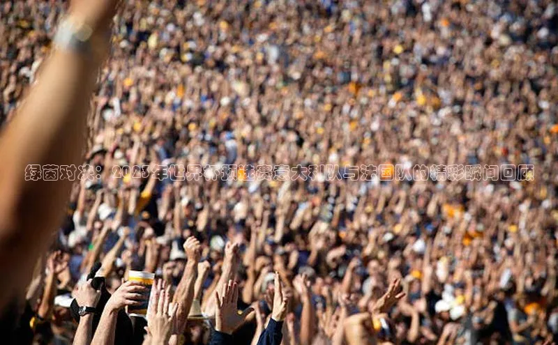 绿茵对决：2023年世界杯预选赛意大利队与法国队的精彩瞬间回顾