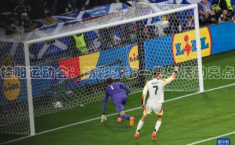 桂阳运动会：精彩赛事一览与活动亮点