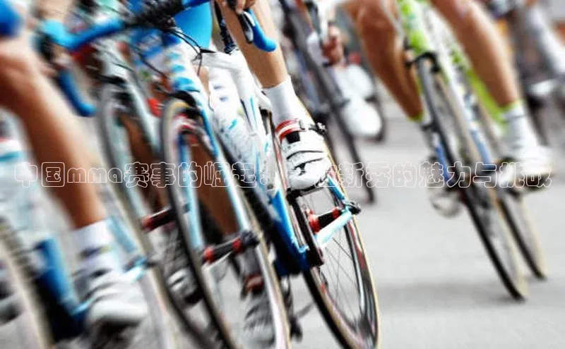 中国mma赛事的崛起：一位新秀的魅力与挑战