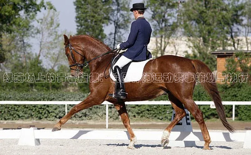 绿茵场上的青春旋律：校园休闲运动赛事策划与执行