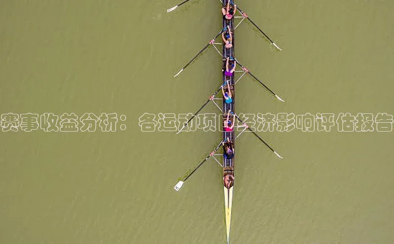 赛事收益分析：各运动项目经济影响评估报告