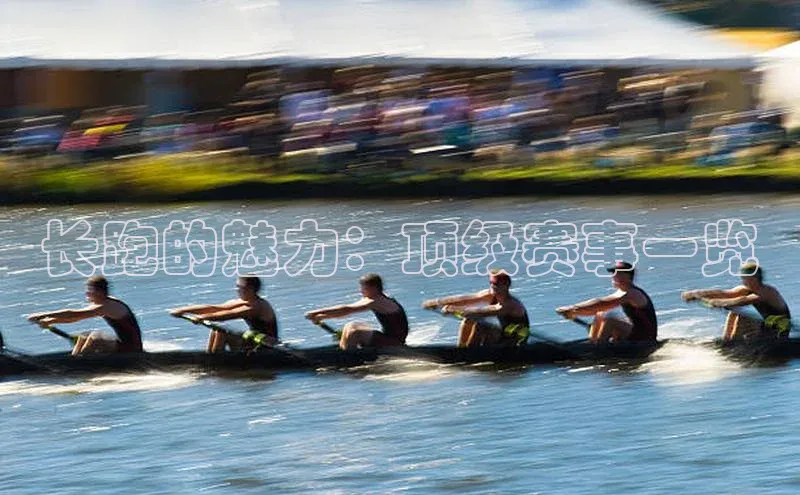 长跑的魅力：顶级赛事一览