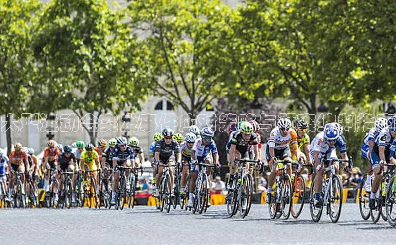 大型运动会突发事件应对策略与预案编制指南