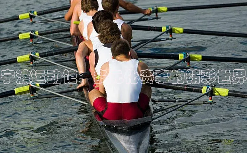 宁波运动馆：多元化赛事的精彩世界