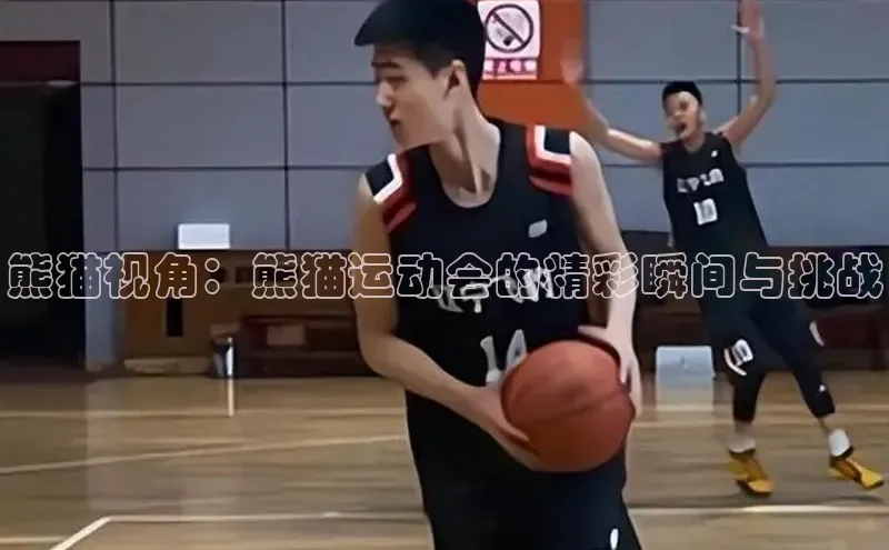 球速app官方入口