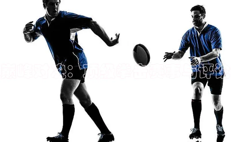 巅峰对决：顶级拳击赛事与评论