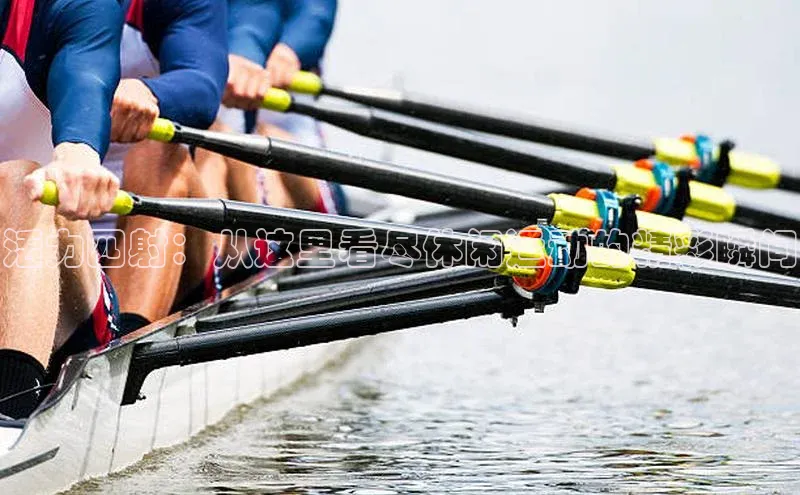 球速体育app下载地址手机版