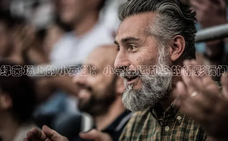 速球体育官方入口地址