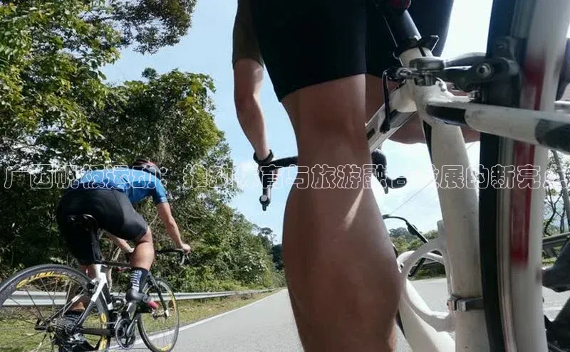 球速体育app官方下载