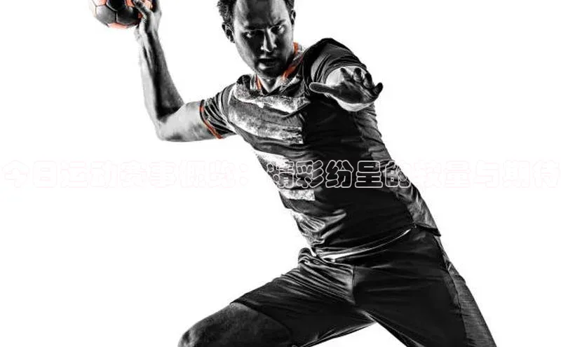 今日运动赛事概览：精彩纷呈的较量与期待