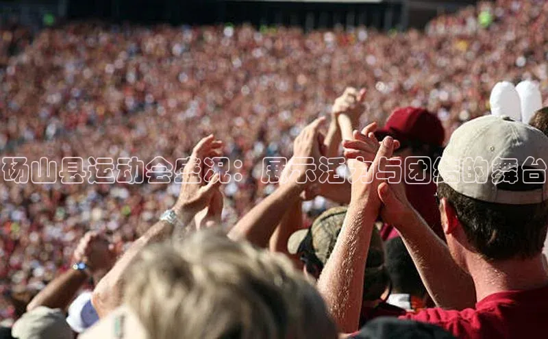 砀山县运动会盛况：展示活力与团结的舞台