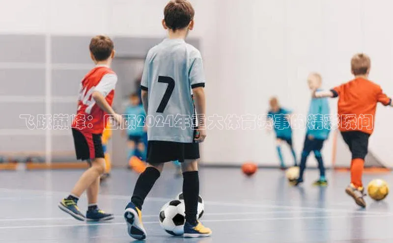 飞跃巅峰：回顾2024年重大体育赛事的精彩瞬间